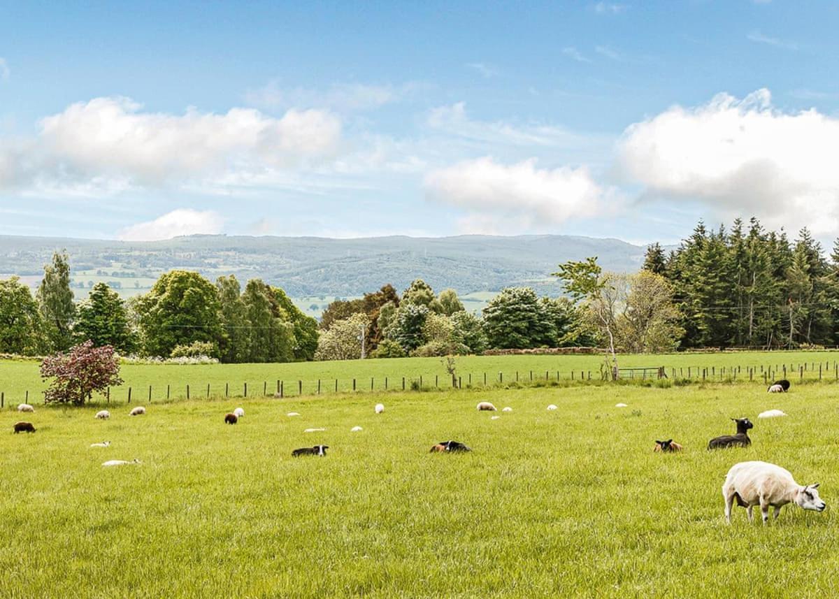 Kessock Highland Lodges North Kessock المظهر الخارجي الصورة